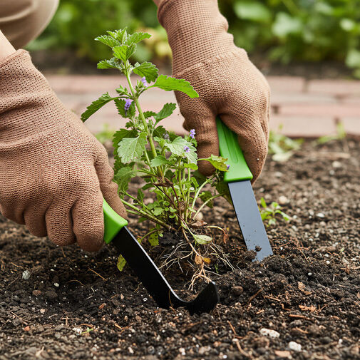 11302 • Kerti gyomkiszedő kés készlet - 20 cm - 2 db / csomag
